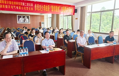 湖南銀河電氣與湖南省計量檢測研究院聯合舉辦劉少奇故居“聯學聯創(chuàng)”主題黨課活動